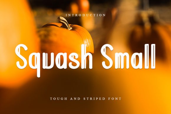 Why Squash Small Is the Display Font Small Businesses Need for Cohesive Branding